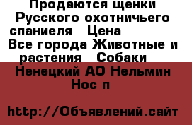 Продаются щенки Русского охотничьего спаниеля › Цена ­ 25 000 - Все города Животные и растения » Собаки   . Ненецкий АО,Нельмин Нос п.